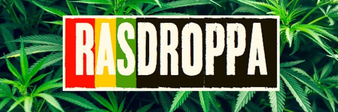 RasDroppa's profile banner image