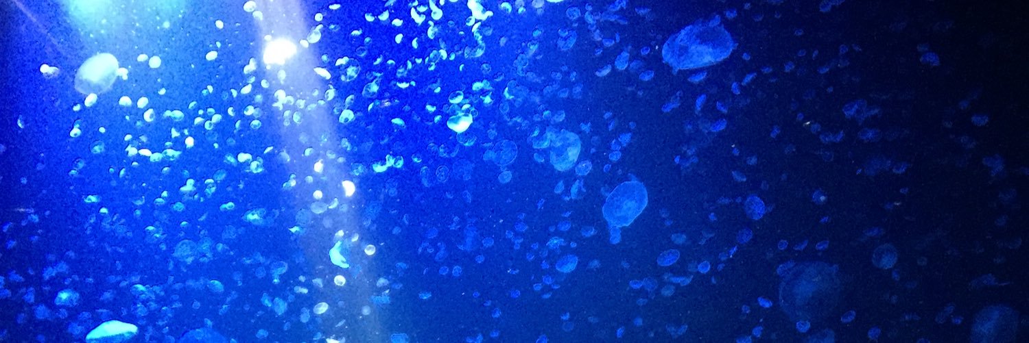19stk's profile banner image