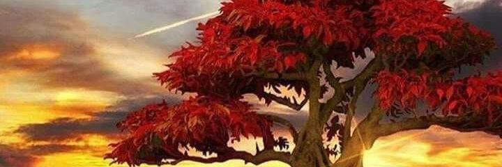 EddinTalal's profile banner image