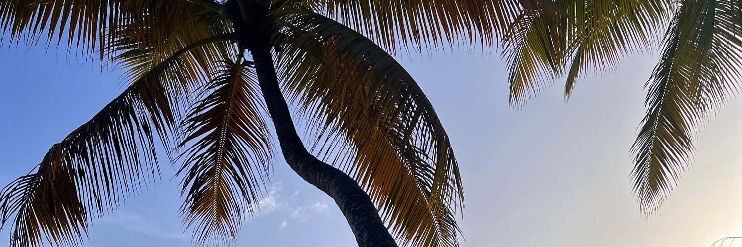 vaeamlln's profile banner image