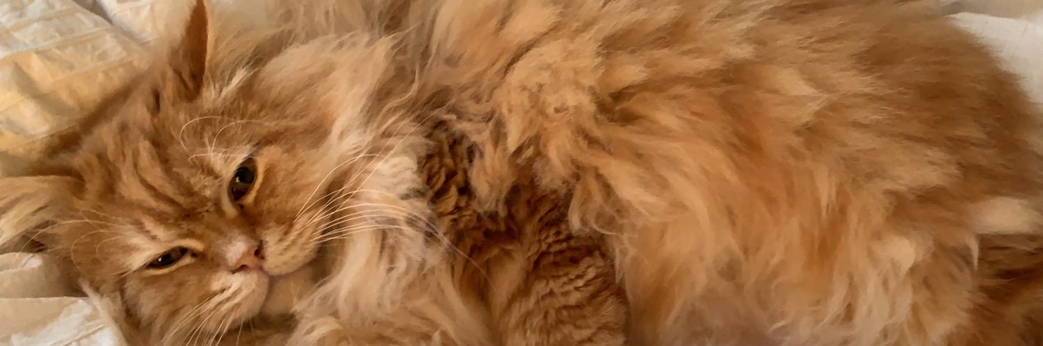 MrPickles banner