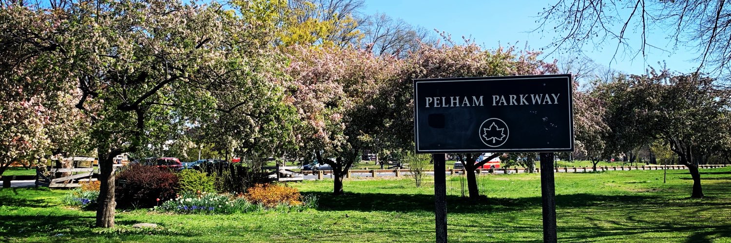 Nathalia Fernandez banner