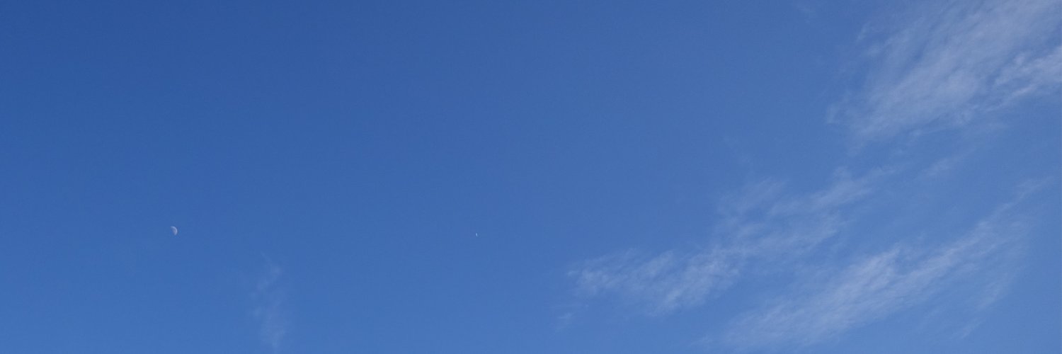 wagtail_jp's profile banner image