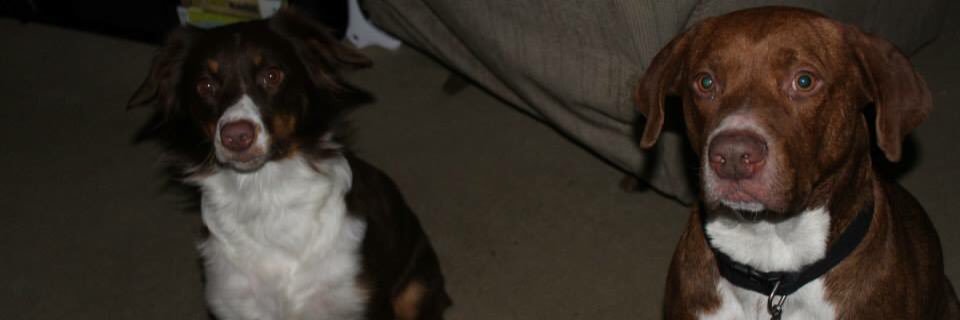 amber_gray95's profile banner image