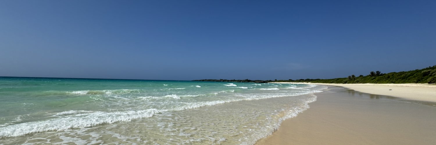 Munechika Katayama banner