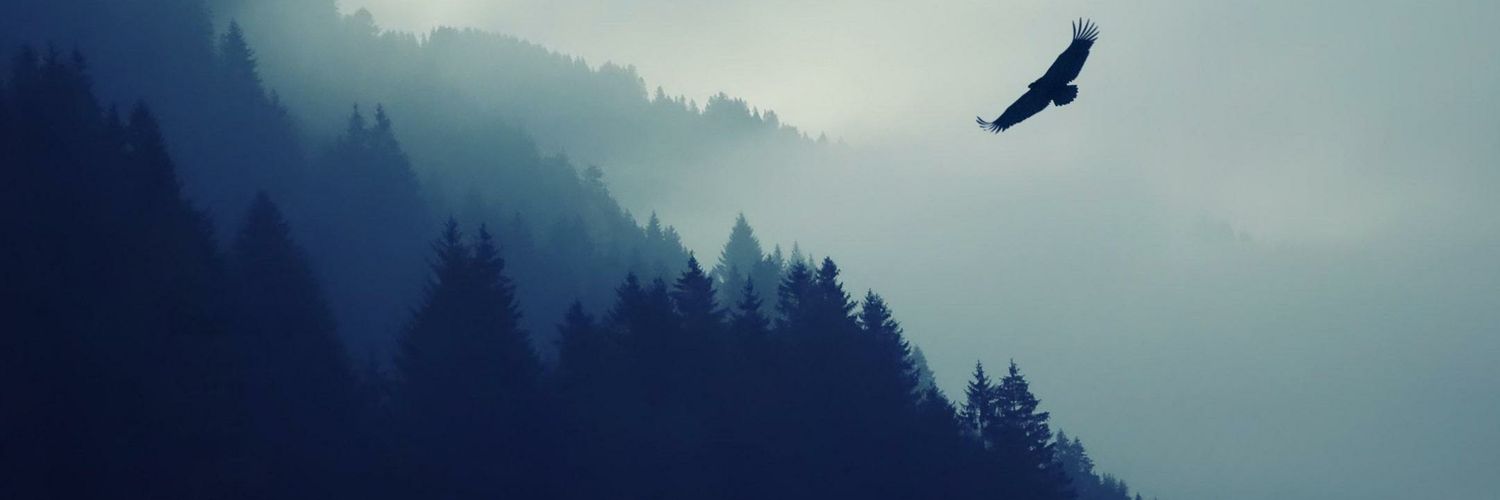 D_S_A38's profile banner image