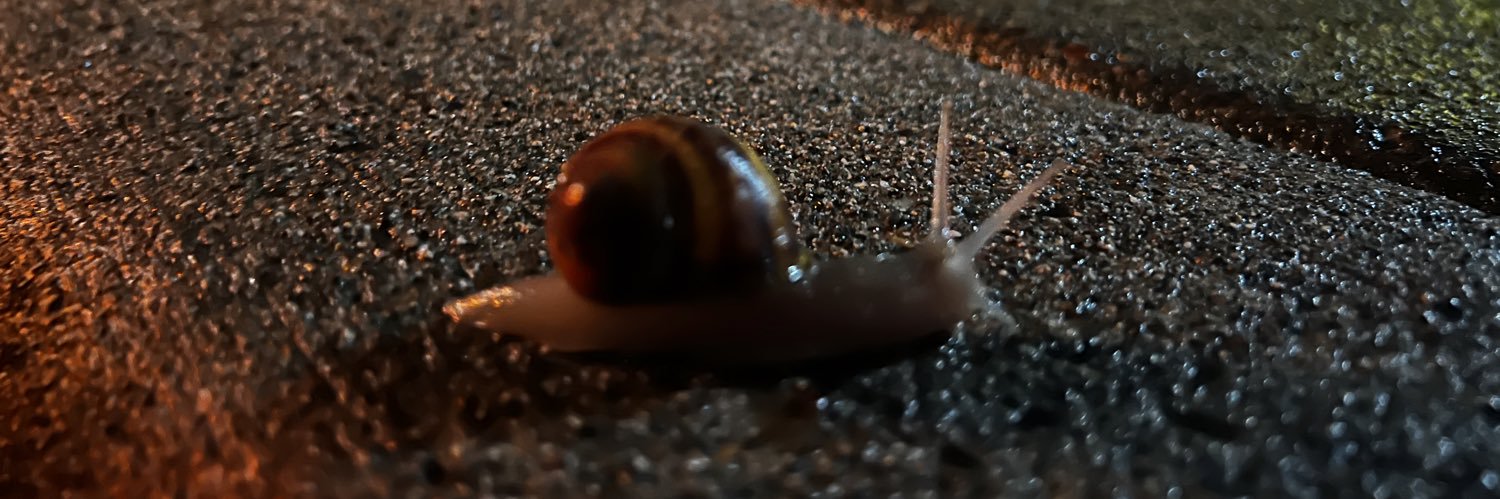 marijayn1's profile banner image
