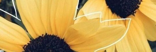 climaas's profile banner image