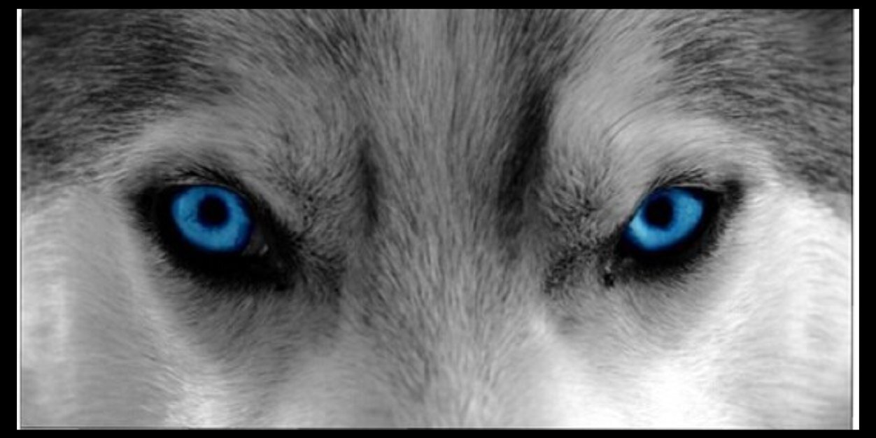 CesarNa43525931's profile banner image