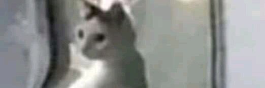 Gab0w0 banner