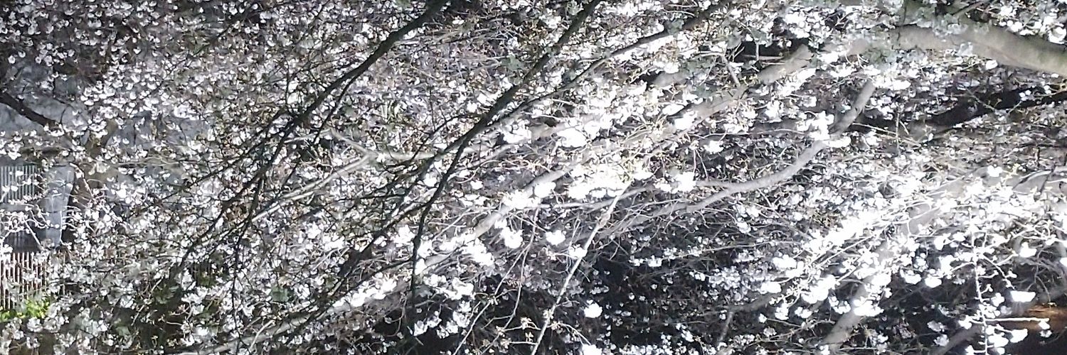 ソーヅ banner