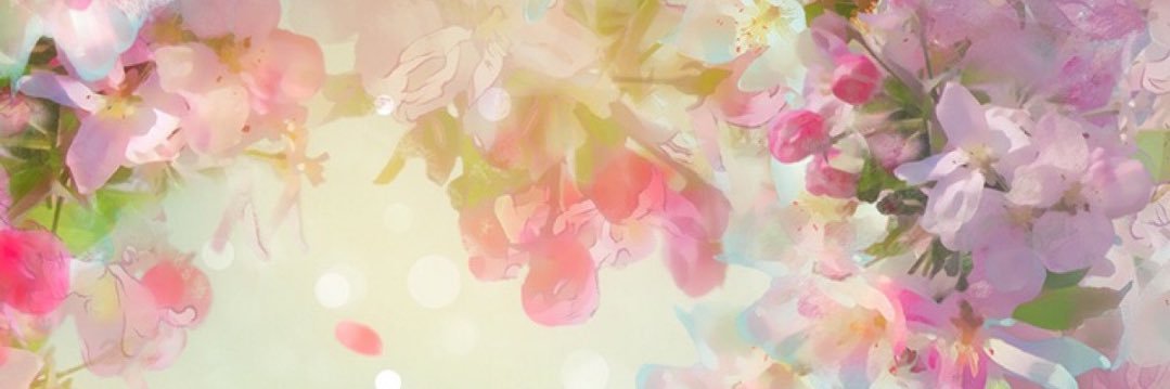 norako29's profile banner image
