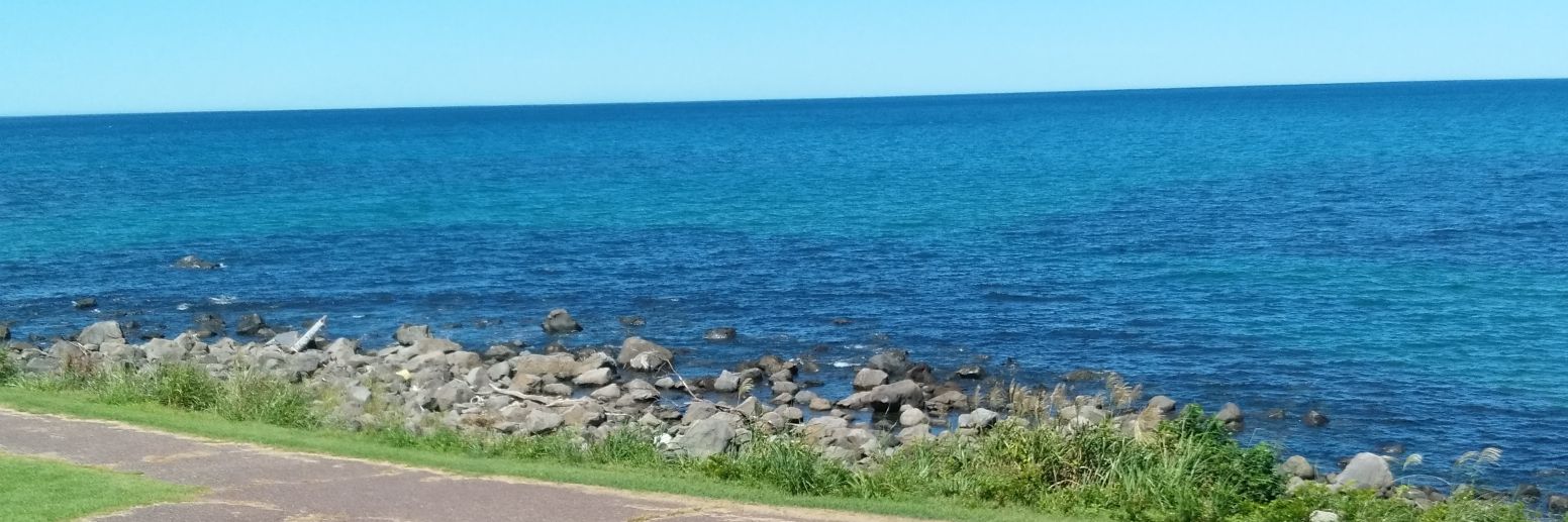 NAVY BLUE Kanaloa banner