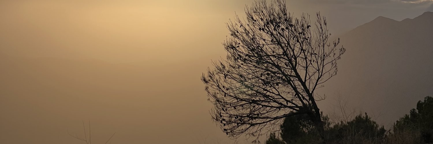 Laurent Blanc banner