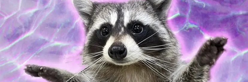 Gavin Reinwald banner