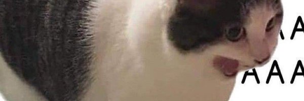 Captain_M00N Profile Banner