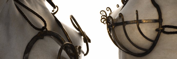 BDSMattributes's profile banner image