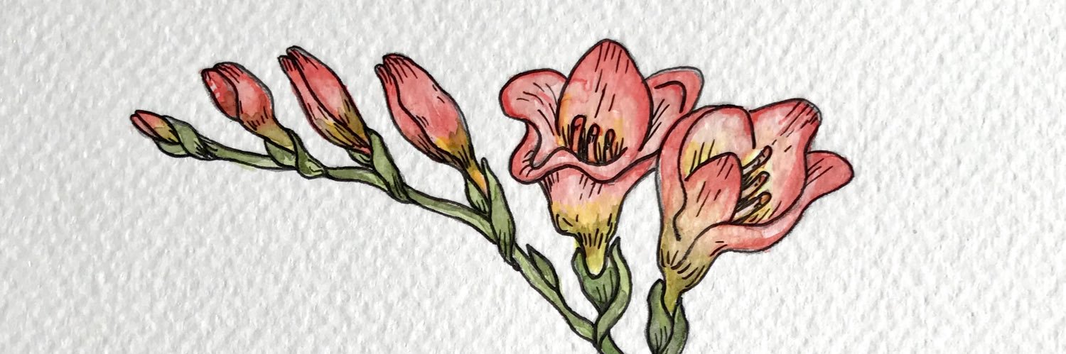 mrstmacg's profile banner image