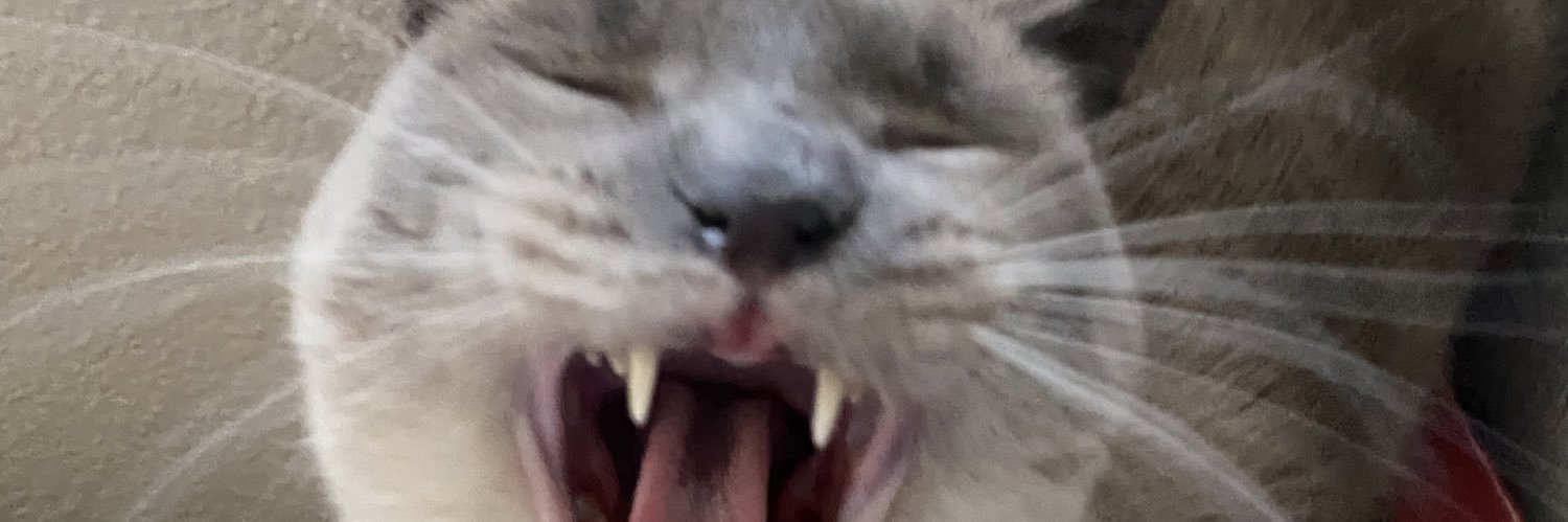 Johnathan Jelly pirate banner