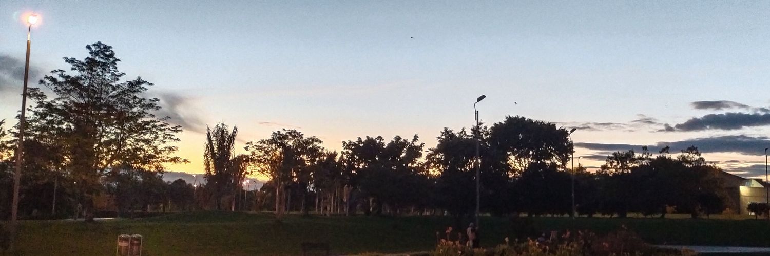 Manuel Estévez banner