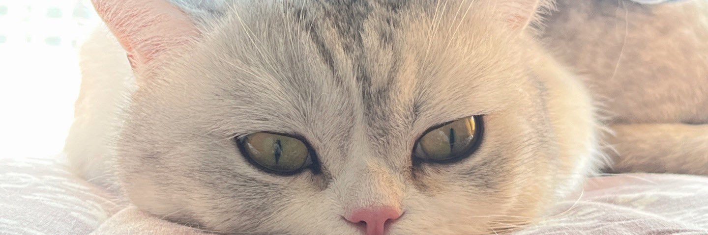 thintiiine's profile banner image