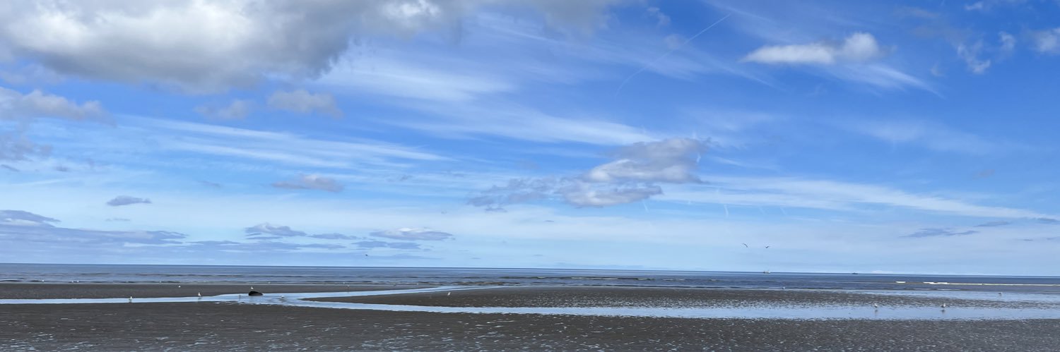 MarieTreacyEY's profile banner image