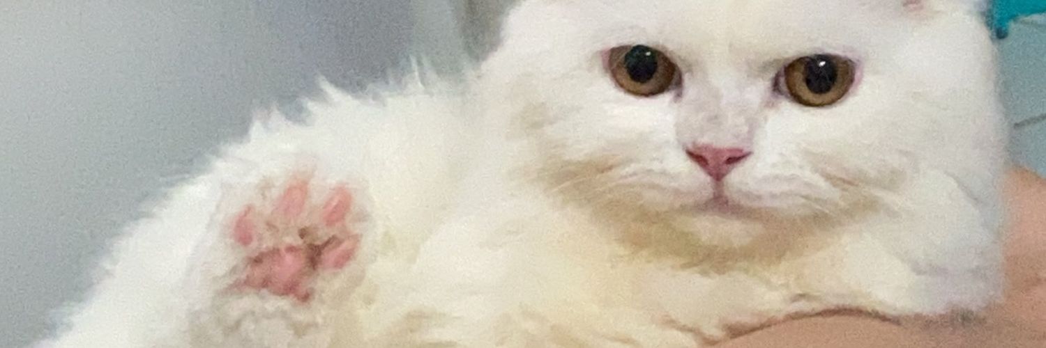 driftandthink's profile banner image