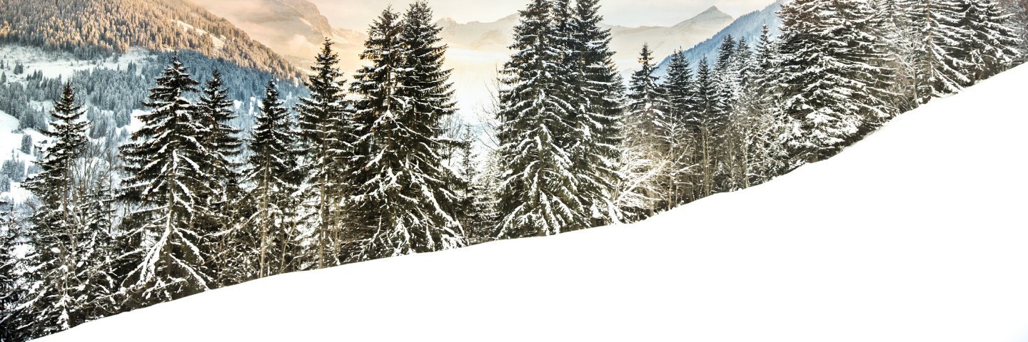 mooninpappa's profile banner image
