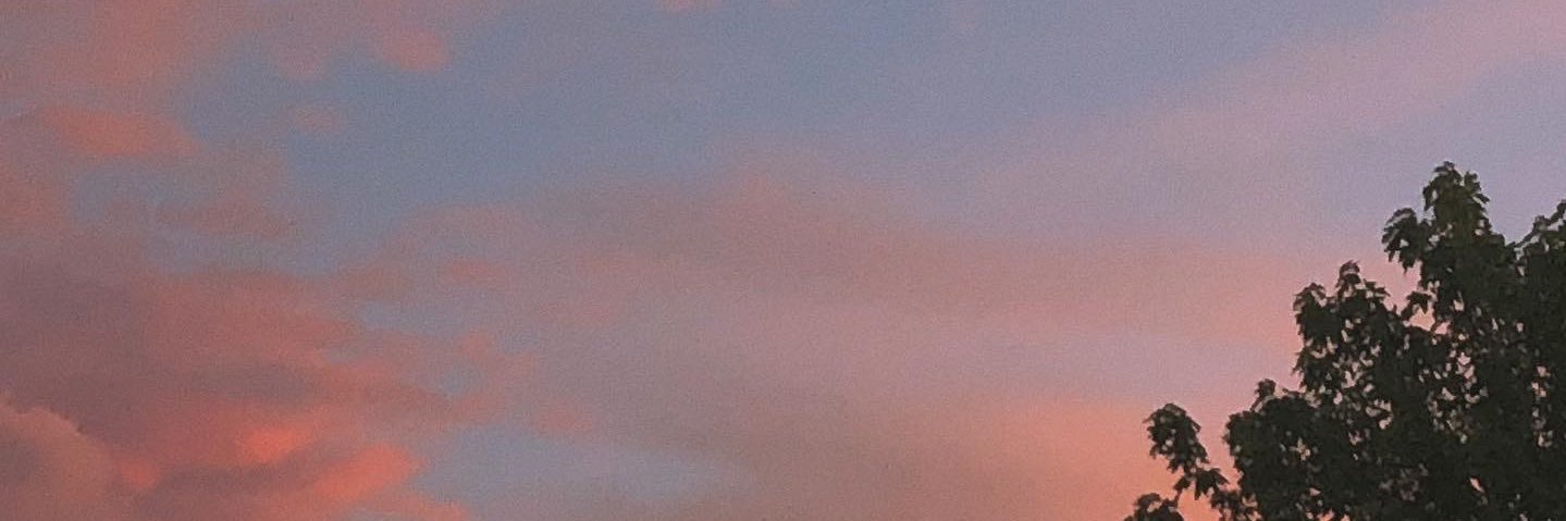 michelle_rubach's profile banner image