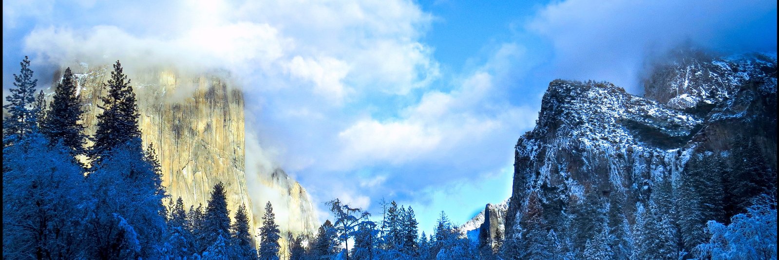 carmenlong's profile banner image