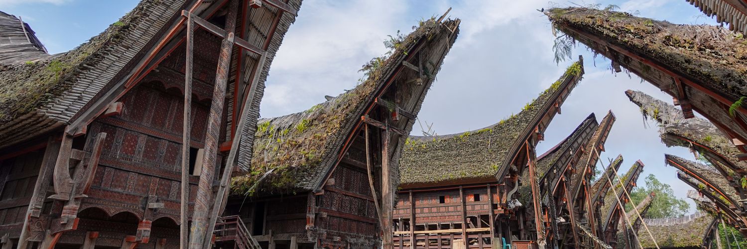 Rodri Tanoto (陳曉陽) banner