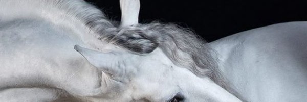 Alsxwx Profile Banner