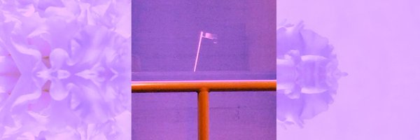 aaaaglrr Profile Banner