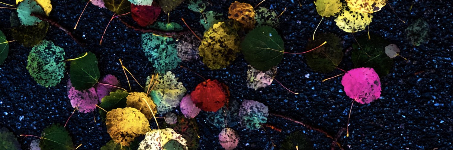 Yasmeen Hamed banner