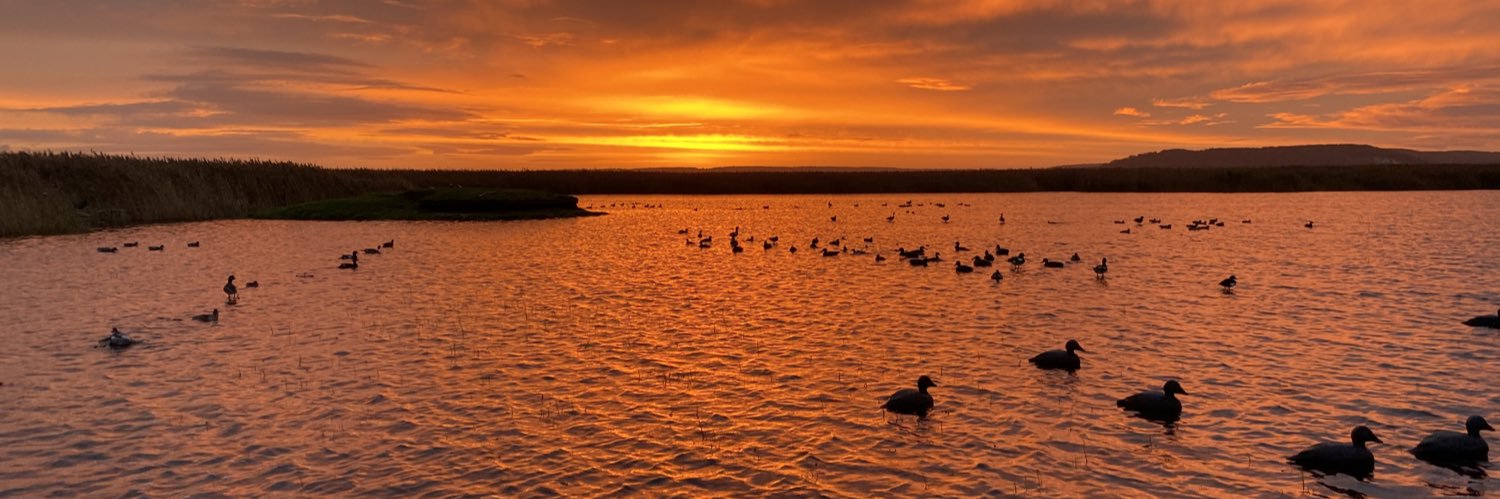 Charles-Henri Bachelier banner