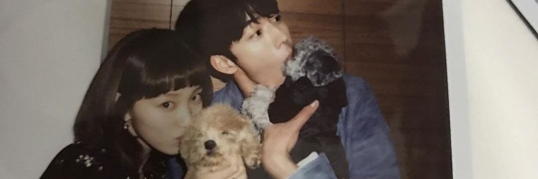 이도현 banner