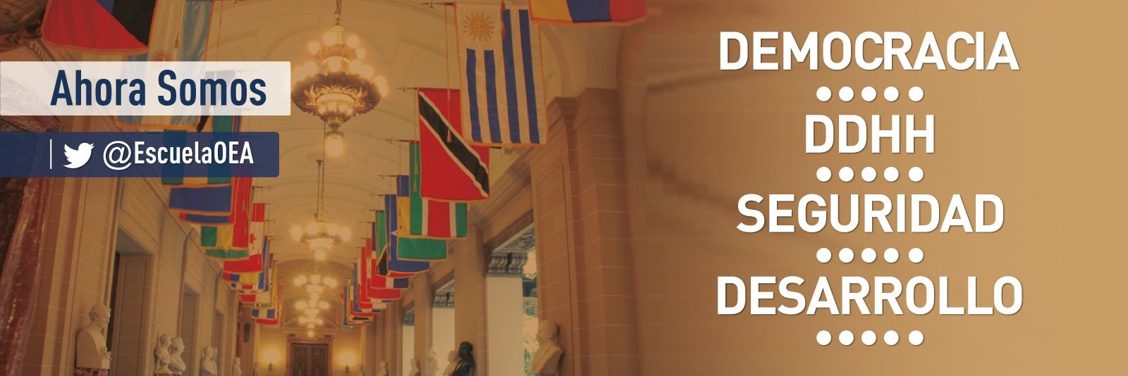 Formación OEA banner
