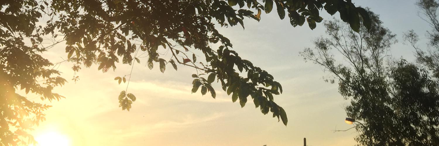 yapkitming's profile banner image