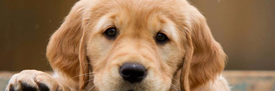 mhonarie's profile banner image