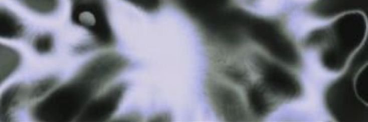 fakidenty's profile banner image