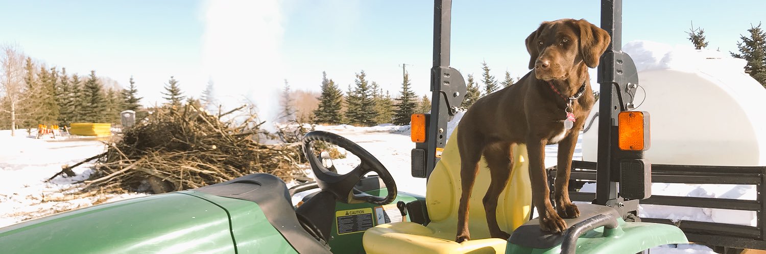 Geoff Strelow banner