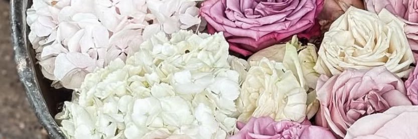 heba___2's profile banner image