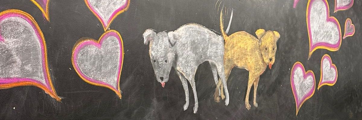 RichiCastaneda's profile banner image