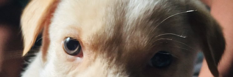 djohnfrey's profile banner image