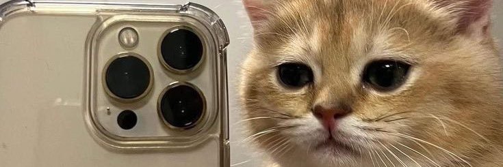 chocholazz's profile banner image