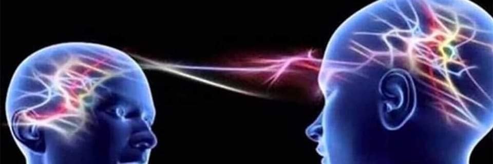 paratuxi's profile banner image
