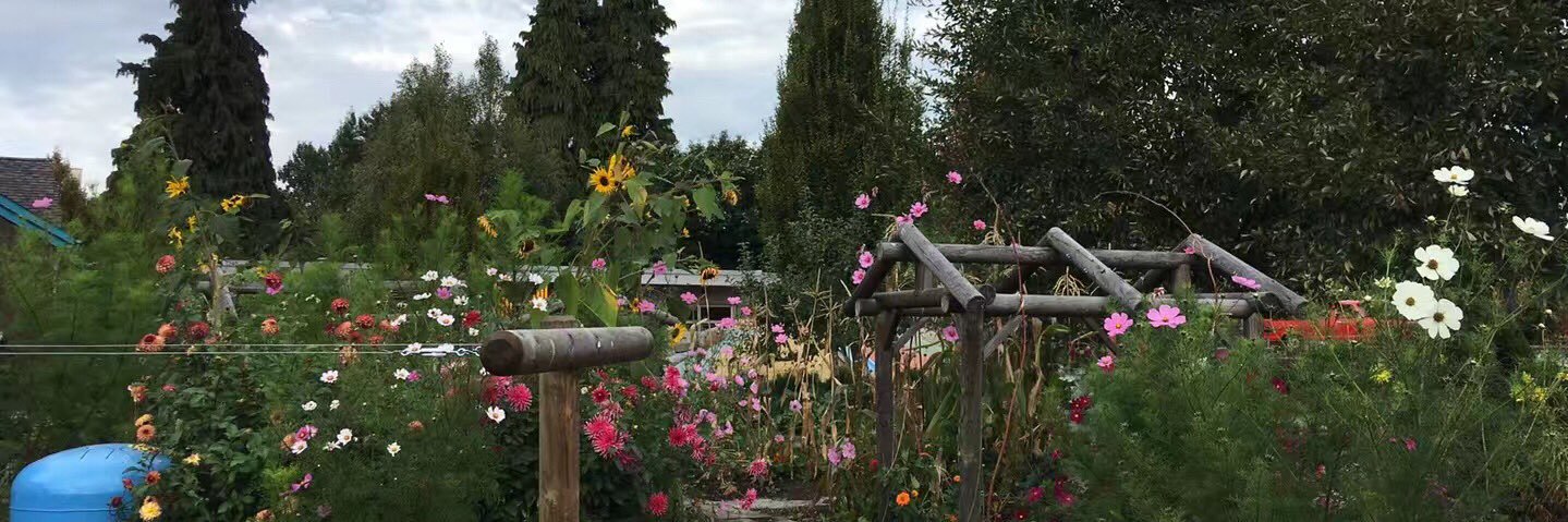 Latesakura's profile banner image