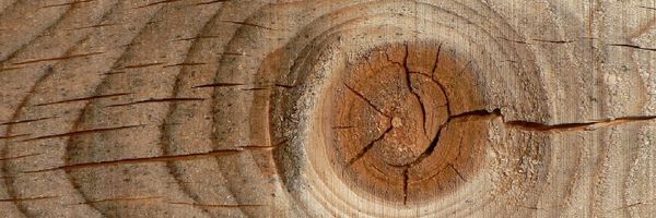 int_madera Profile Banner