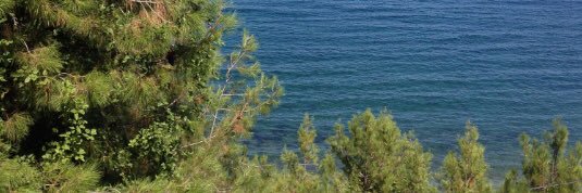 Hasan YALÇIN banner