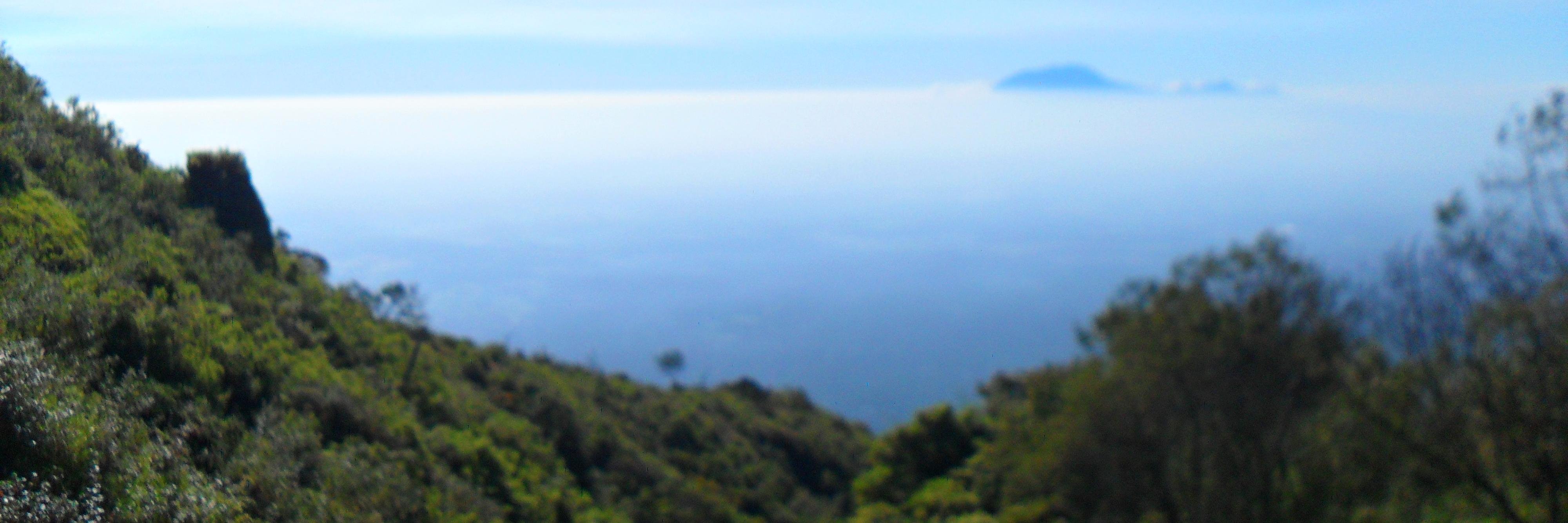 hello_puspa's profile banner image